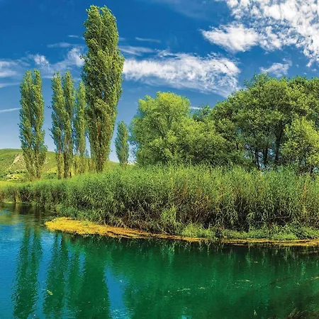 1 Bedroom In Apartment Blace